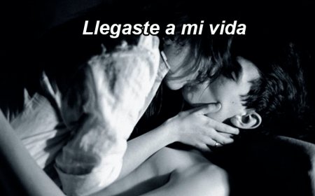 Llegaste a mi vida